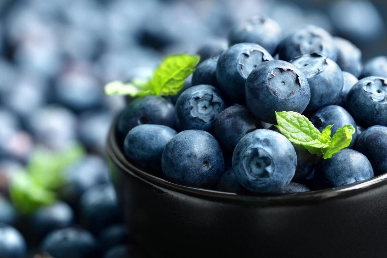 Can Berries Protect Your Fertility from Microplastic Exposure? 60092