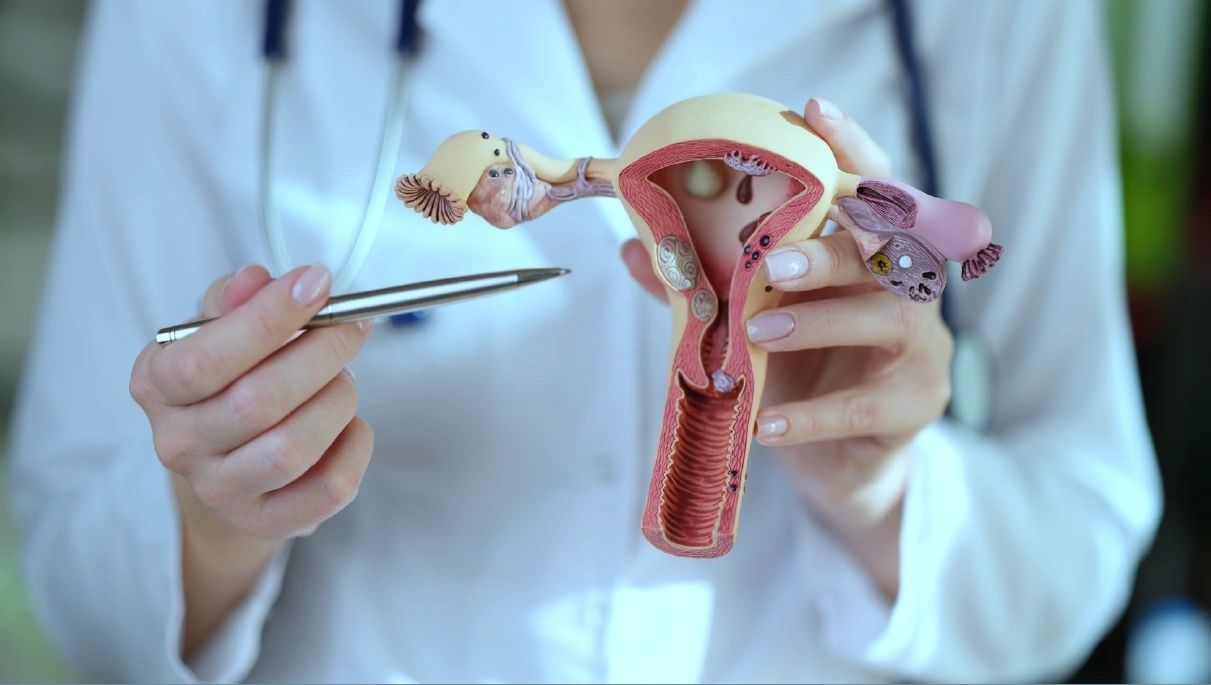 Ivf.jpg