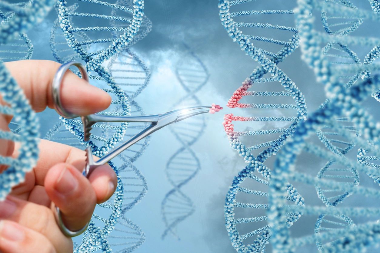 LrO82pg